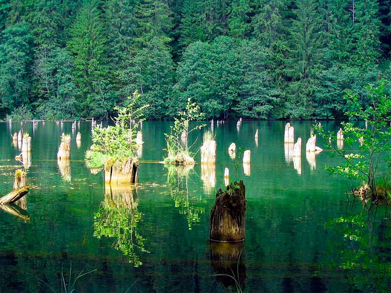 Hargita környéke – csodák és látnivalók, a Gyilkos-tó