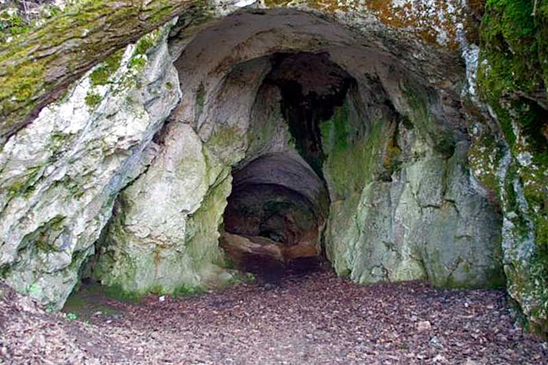 Szabadon látogatható a fokozottan védett Jankovich-barlang (Bajót)