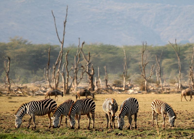 Arusha nemzeti park, Afrika